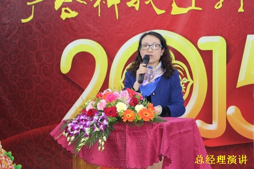 2015年J9集团科技迎春晚宴
