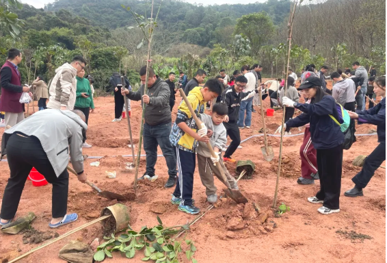 植树造林，，，J9集团责任与继续！